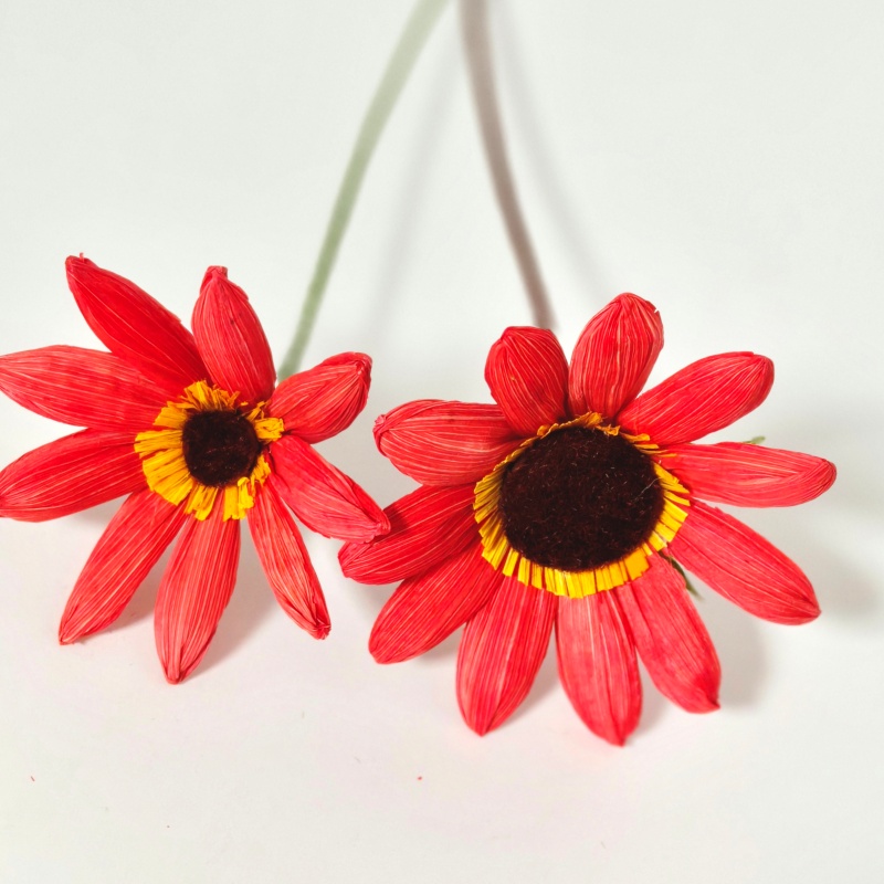 Hand Crafted Corn Husk Flowers 