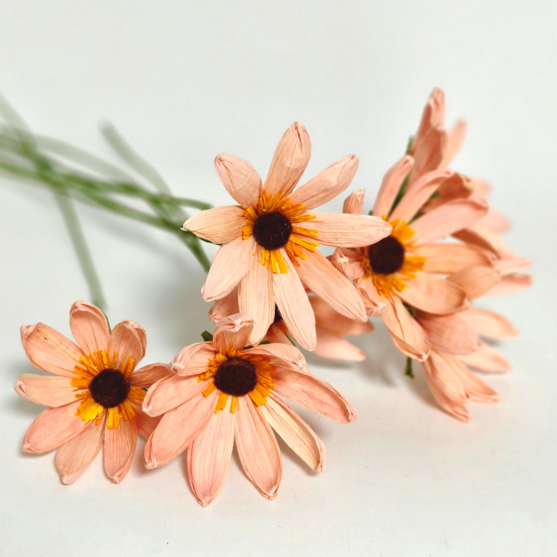 Hand Crafted Corn Husk Flowers 